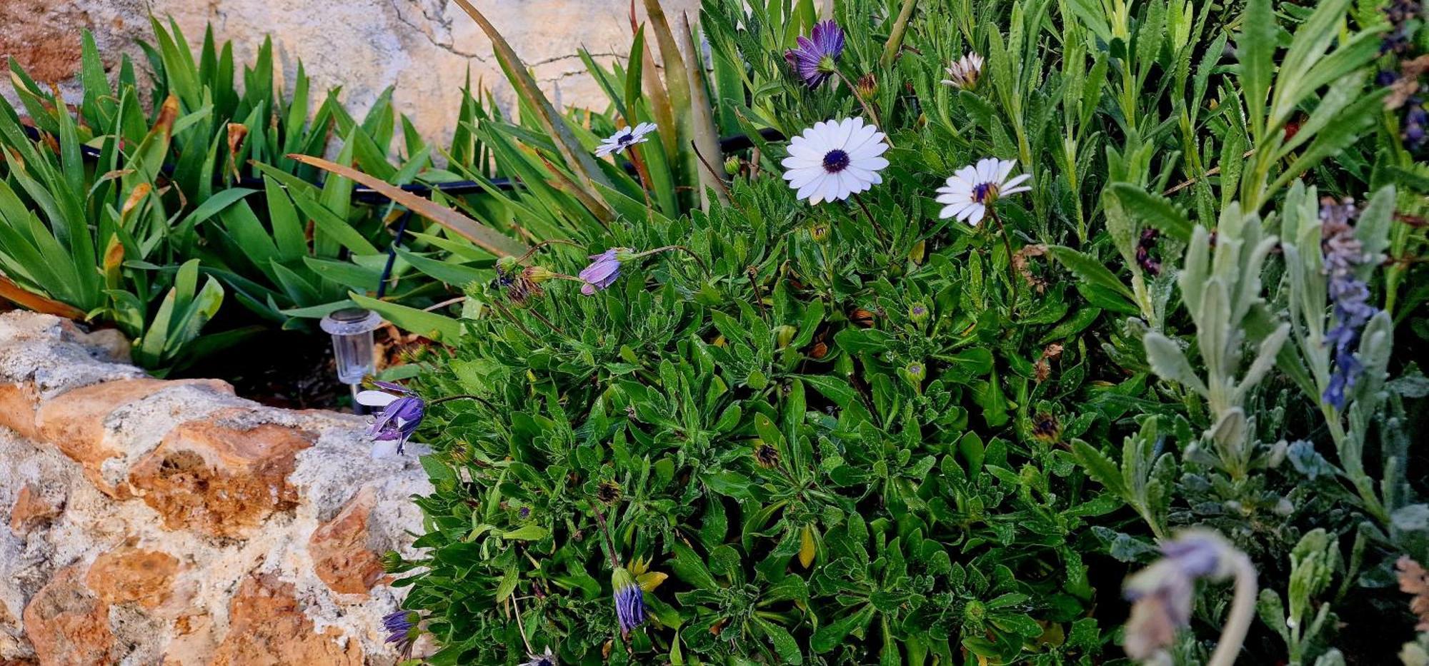 Casa Cueva Cascamorras "Capricho Andaluz" Μπάθα Εξωτερικό φωτογραφία