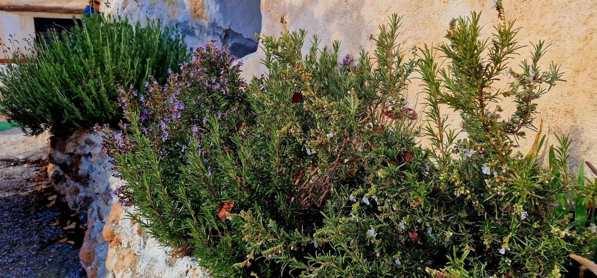 Casa Cueva Cascamorras "Capricho Andaluz" Μπάθα Εξωτερικό φωτογραφία